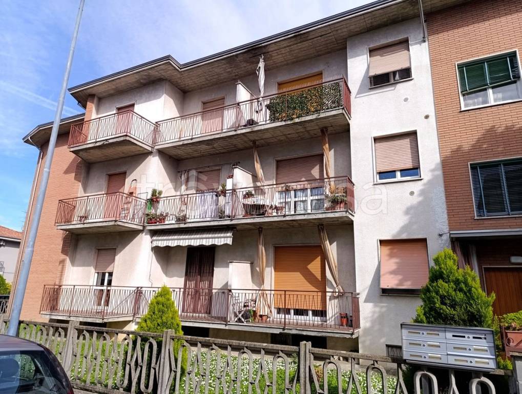 immagine annuncio 1 di 15