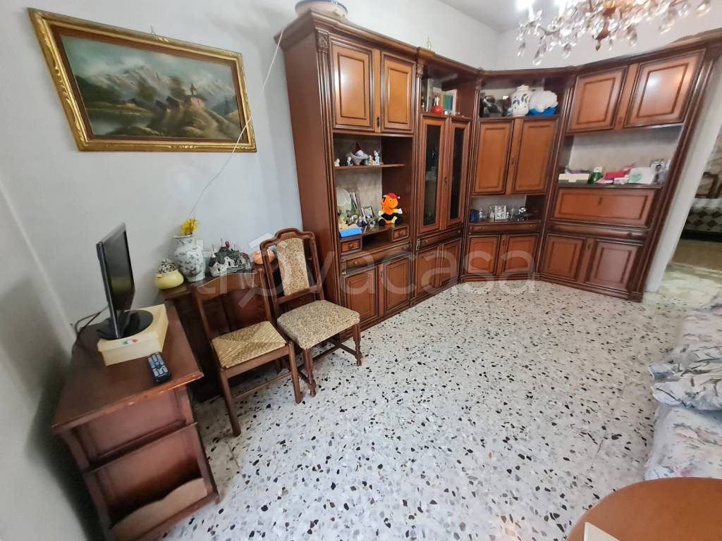 immagine annuncio 1 di 14