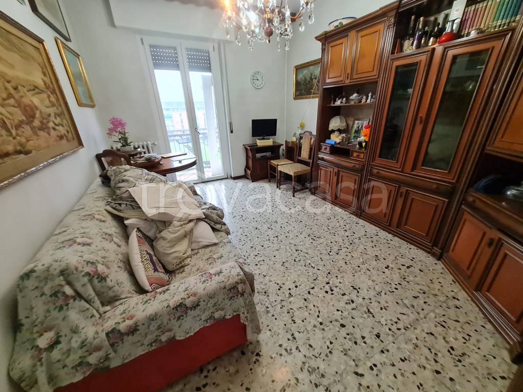 immagine annuncio 3 di 14