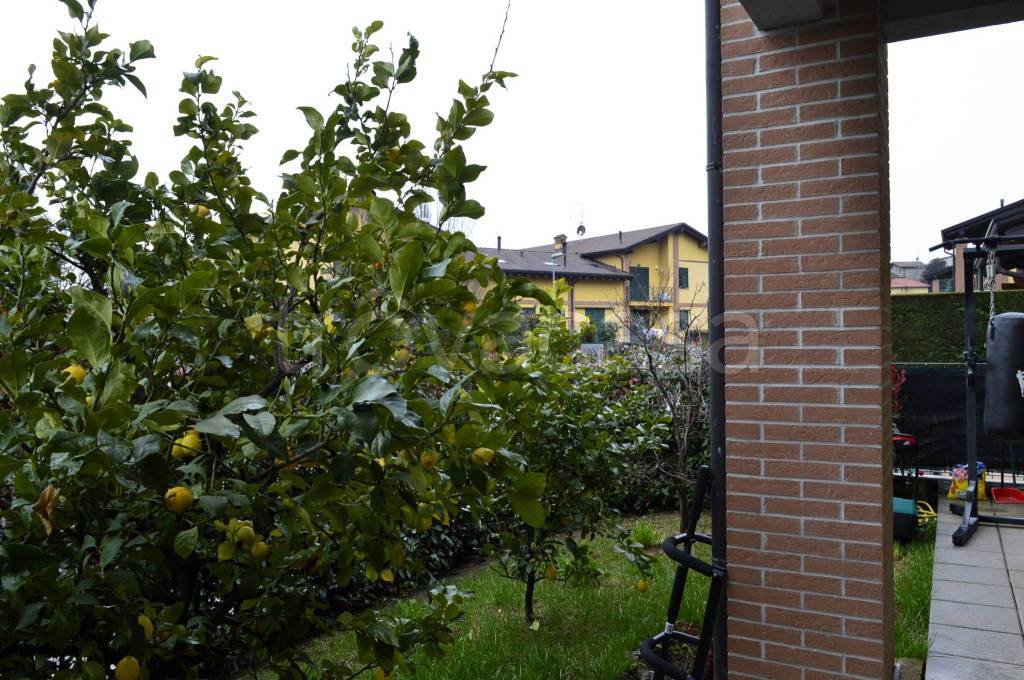 immagine annuncio 5 di 15