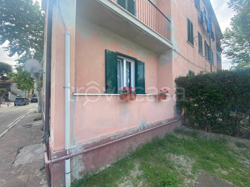 immagine annuncio 2 di 14