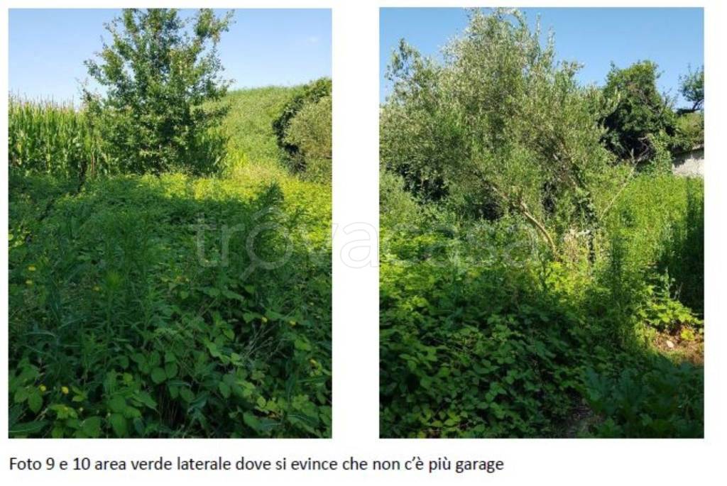 immagine annuncio 7 di 12