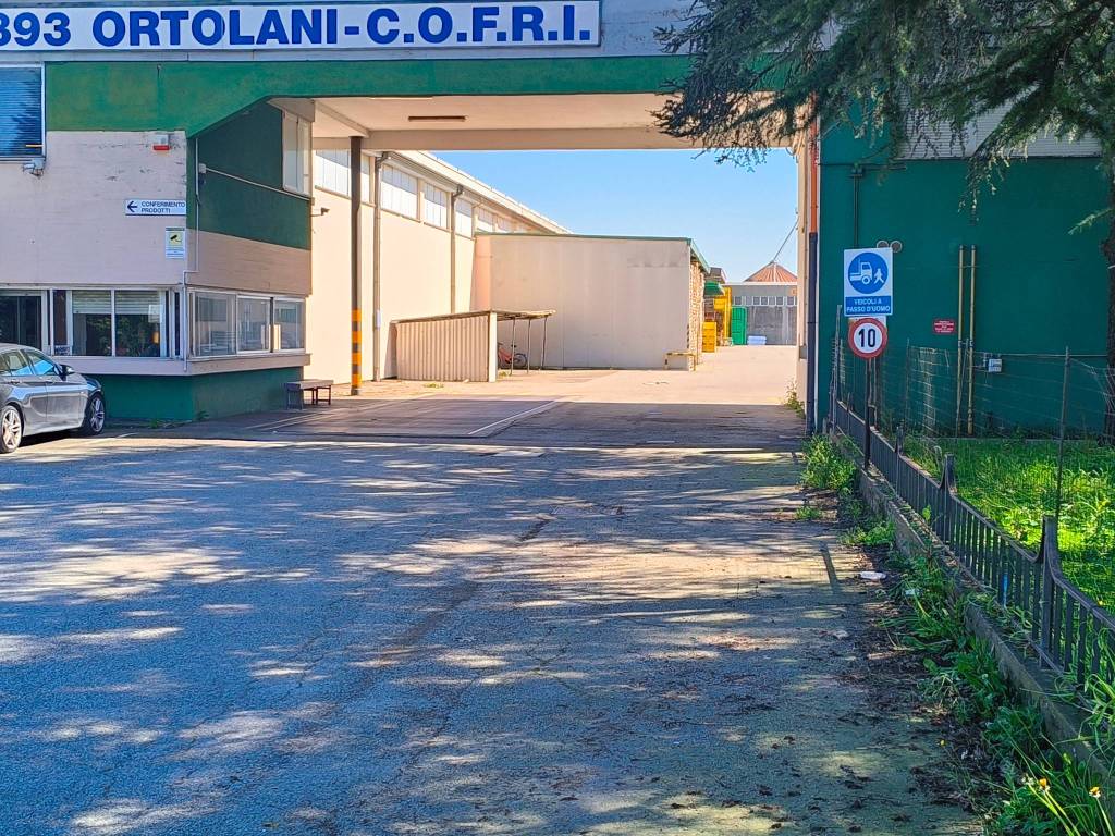 immagine annuncio 7 di 10