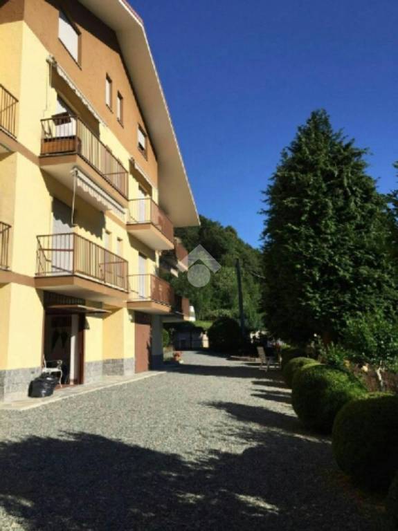 immagine annuncio 2 di 8