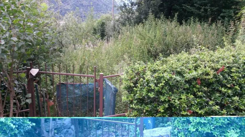 immagine annuncio 4 di 8