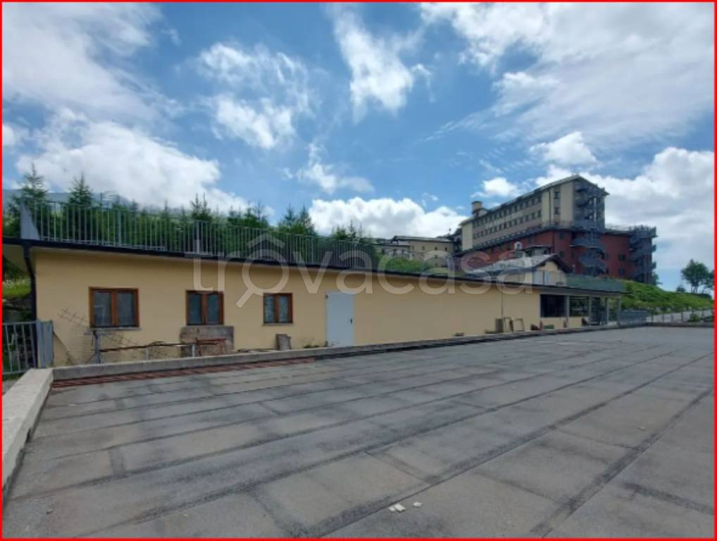 immagine annuncio 9 di 12