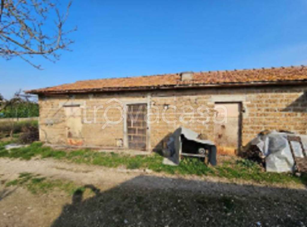 immagine annuncio 12 di 14