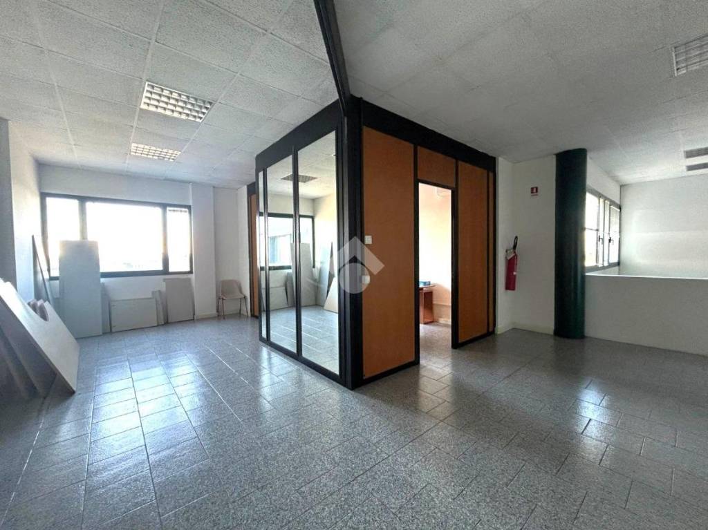 immagine annuncio 5 di 12