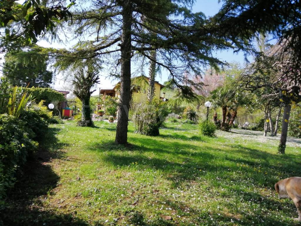 immagine annuncio 11 di 15