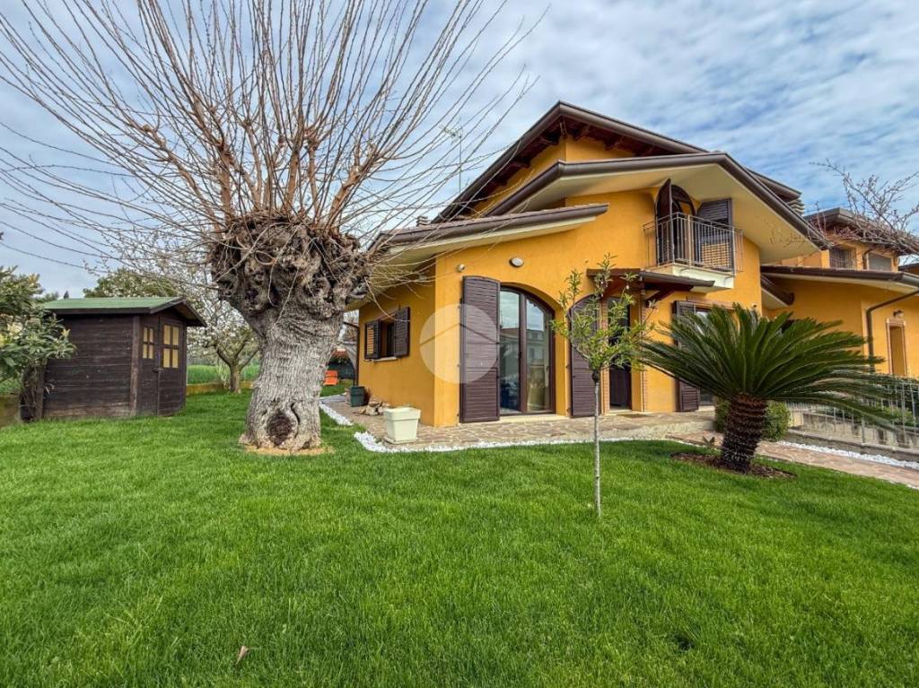 immagine annuncio 11 di 15