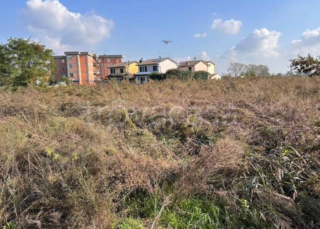 immagine annuncio 3 di 12