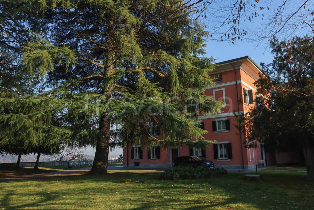 immagine annuncio 4 di 7