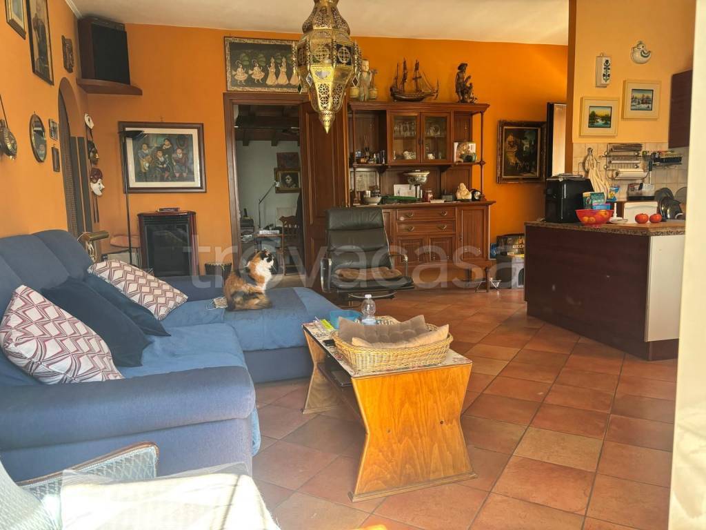 immagine annuncio 7 di 15