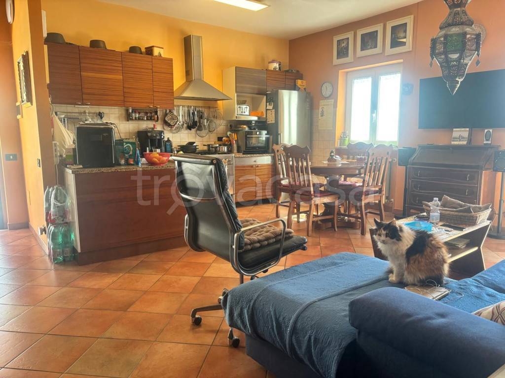 immagine annuncio 6 di 15