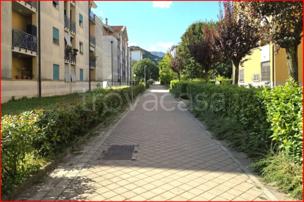 immagine annuncio 6 di 13