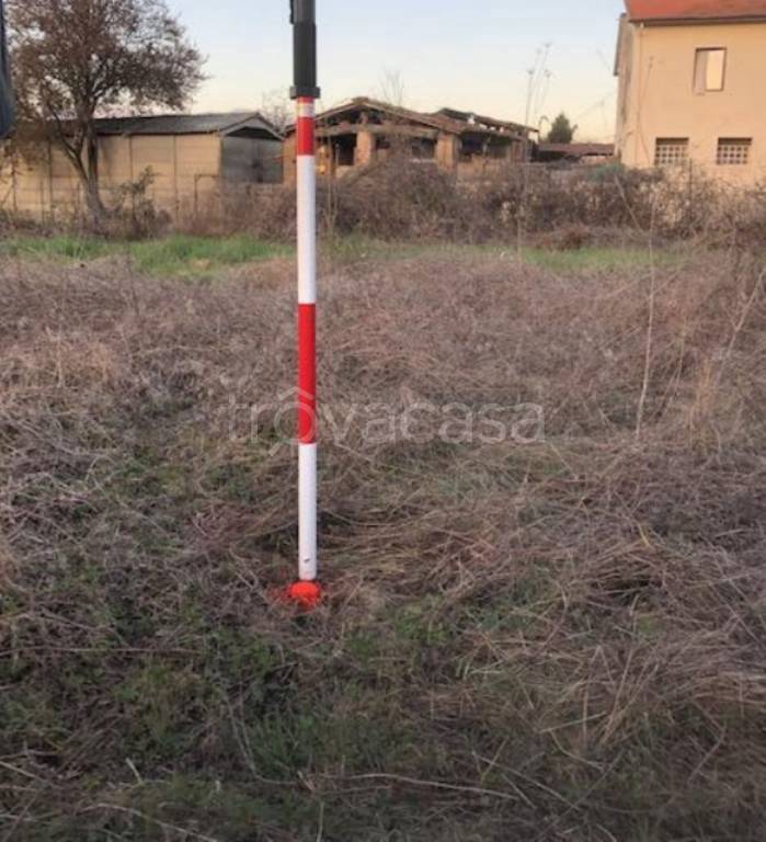 immagine annuncio 3 di 11