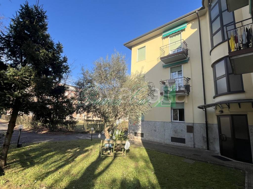 immagine annuncio 1 di 15