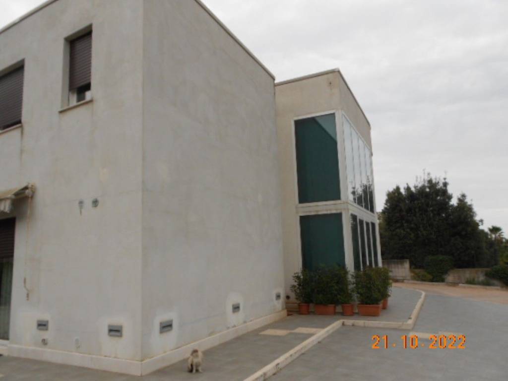 immagine annuncio 7 di 14