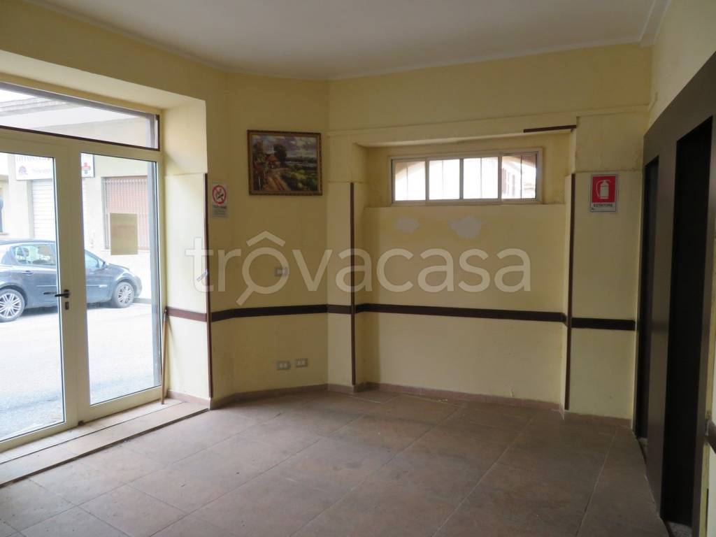 immagine annuncio 3 di 8