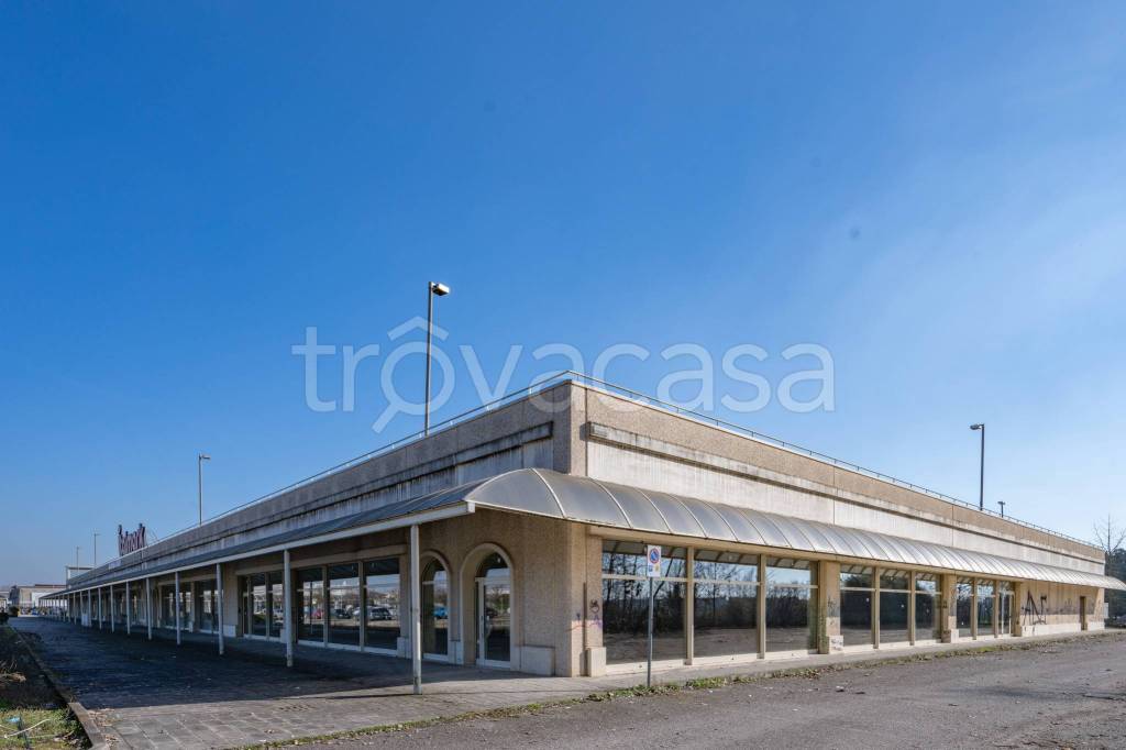 immagine annuncio 2 di 8