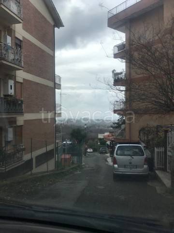 immagine annuncio 2 di 8