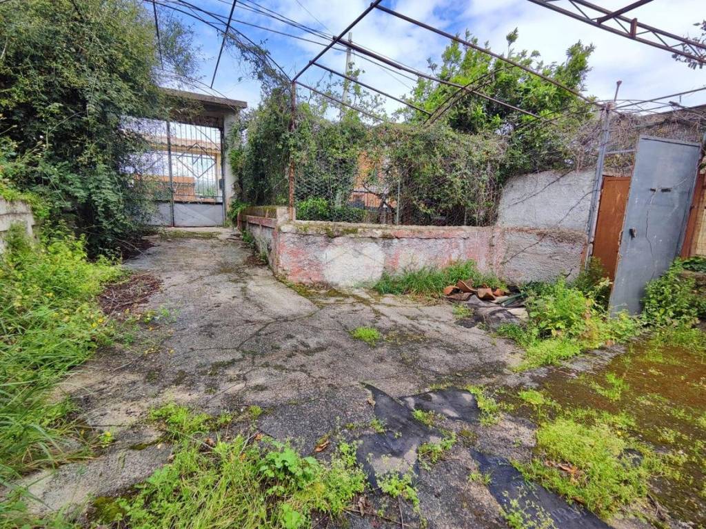 immagine annuncio 10 di 12