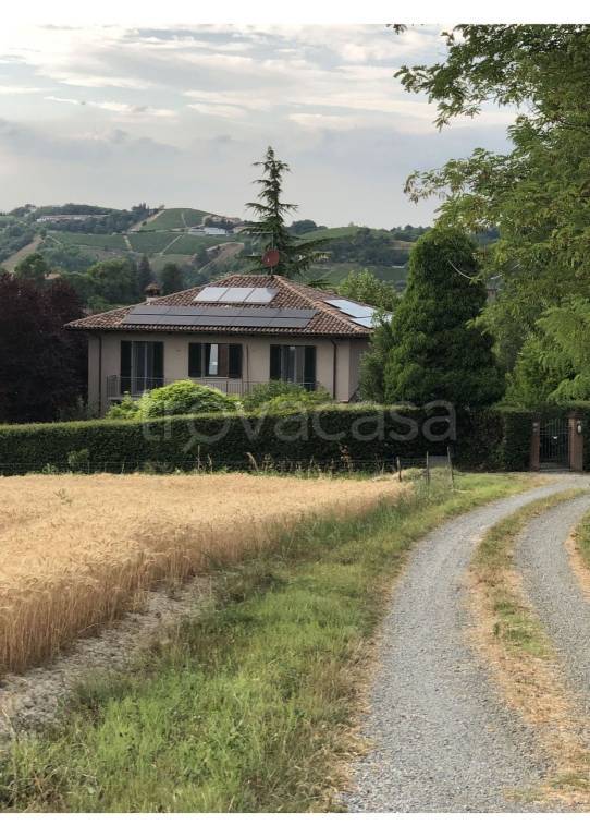 immagine annuncio 7 di 11