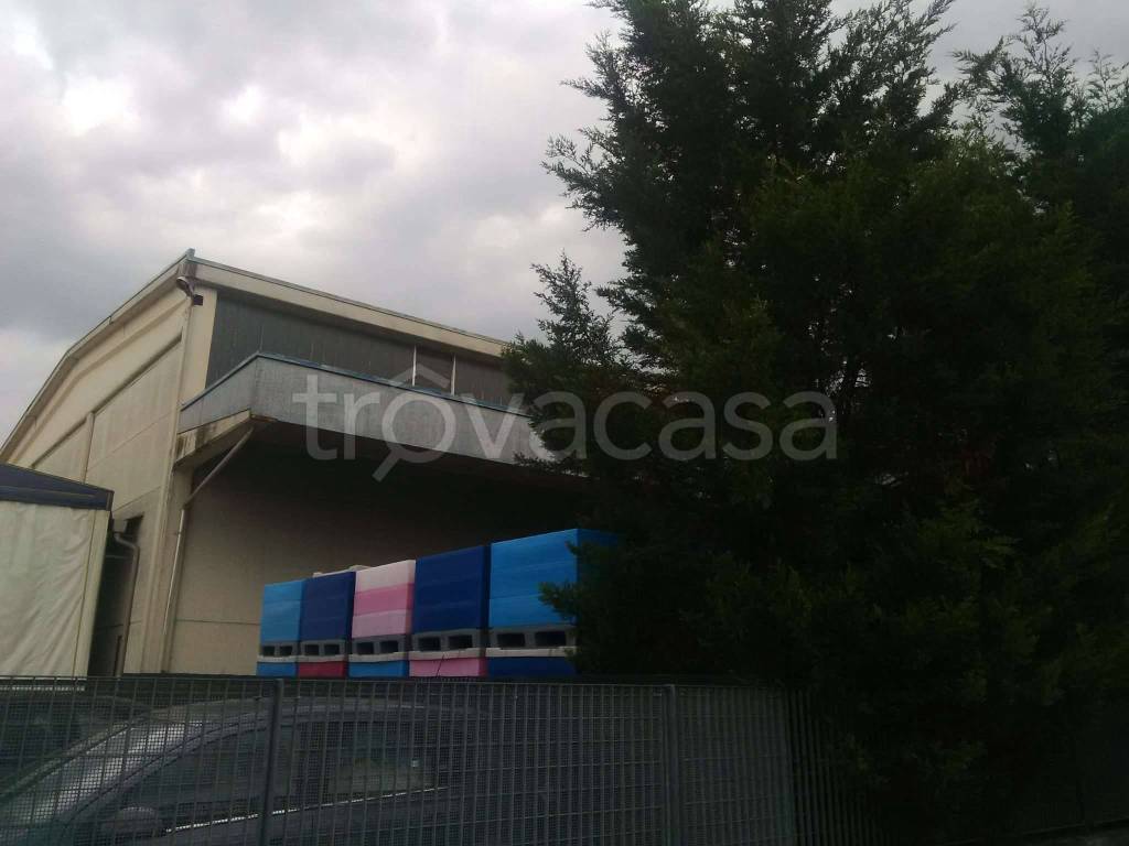 immagine annuncio 8 di 13