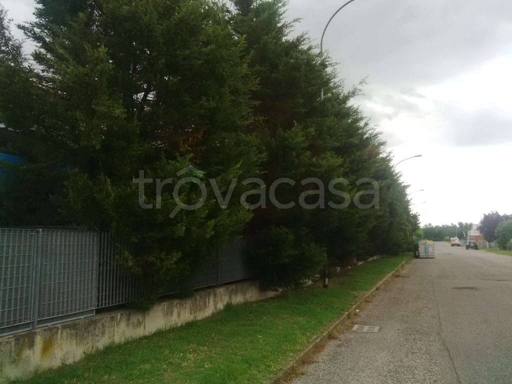 immagine annuncio 10 di 13