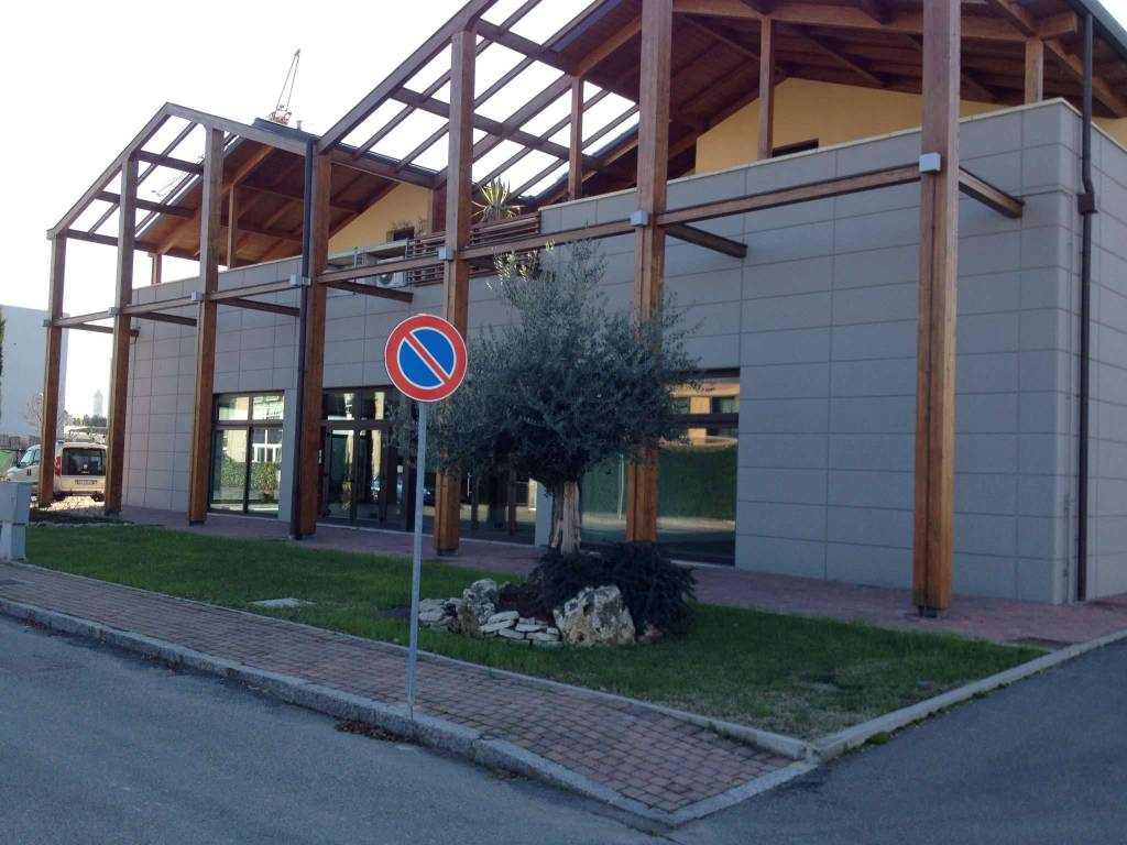 immagine annuncio 2 di 12