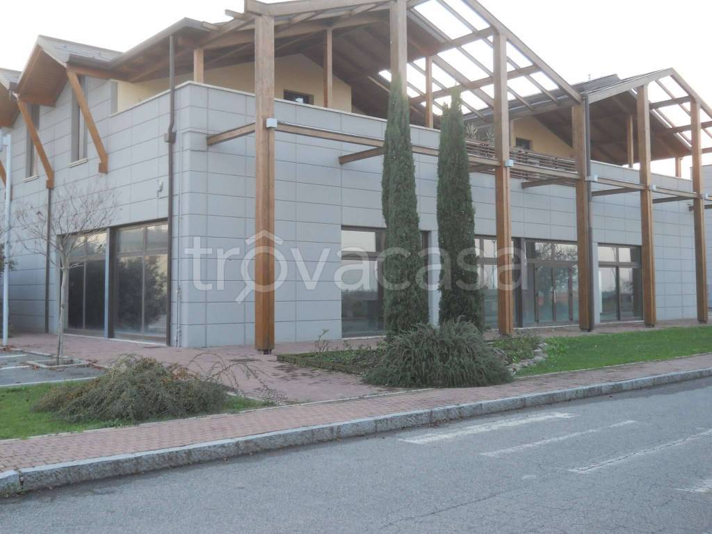 immagine annuncio 3 di 12