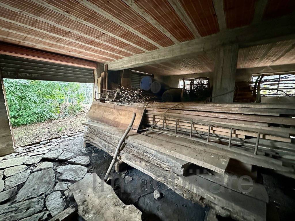 immagine annuncio 4 di 7