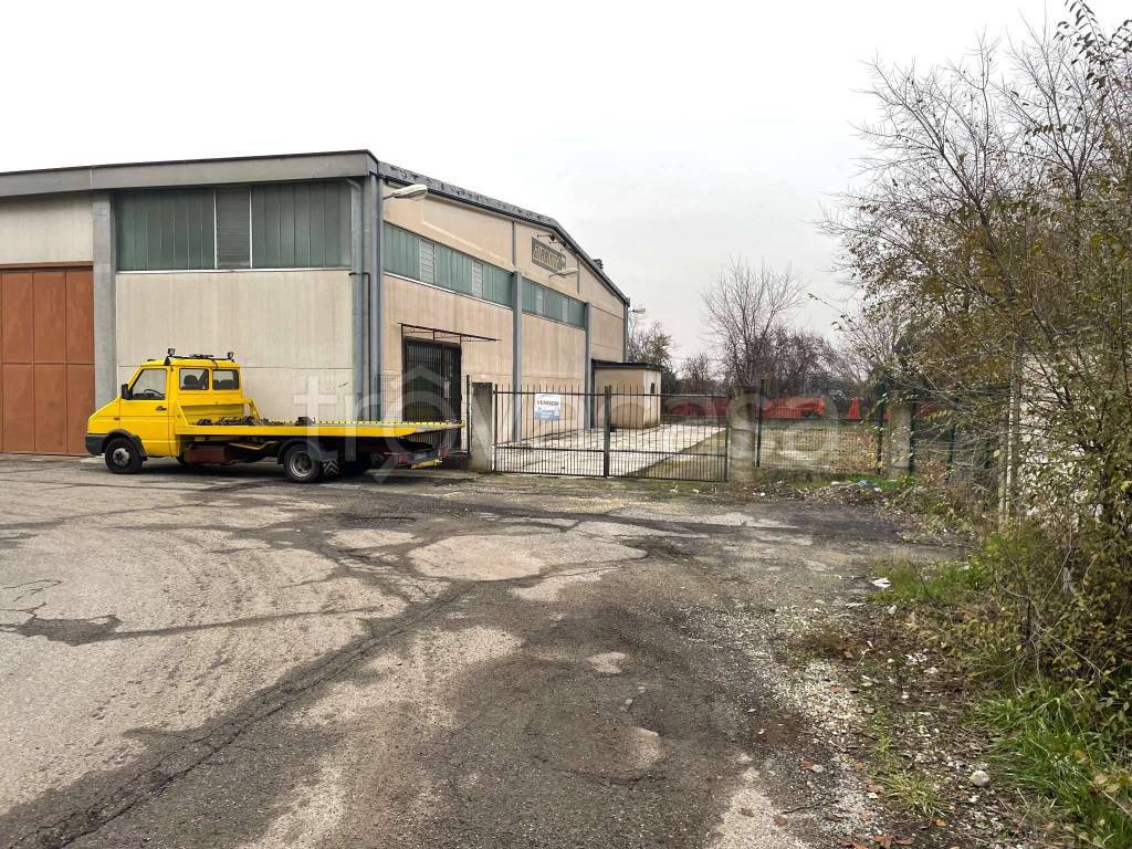 immagine annuncio 12 di 15