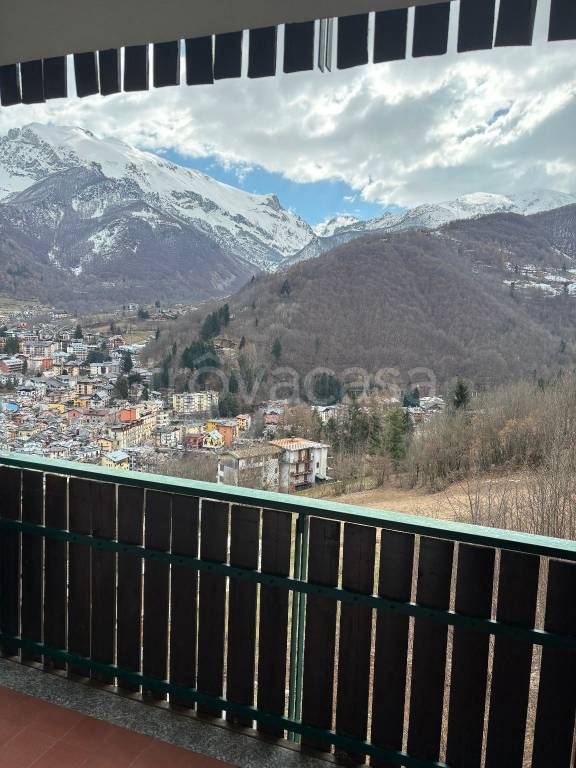 immagine annuncio 1 di 15
