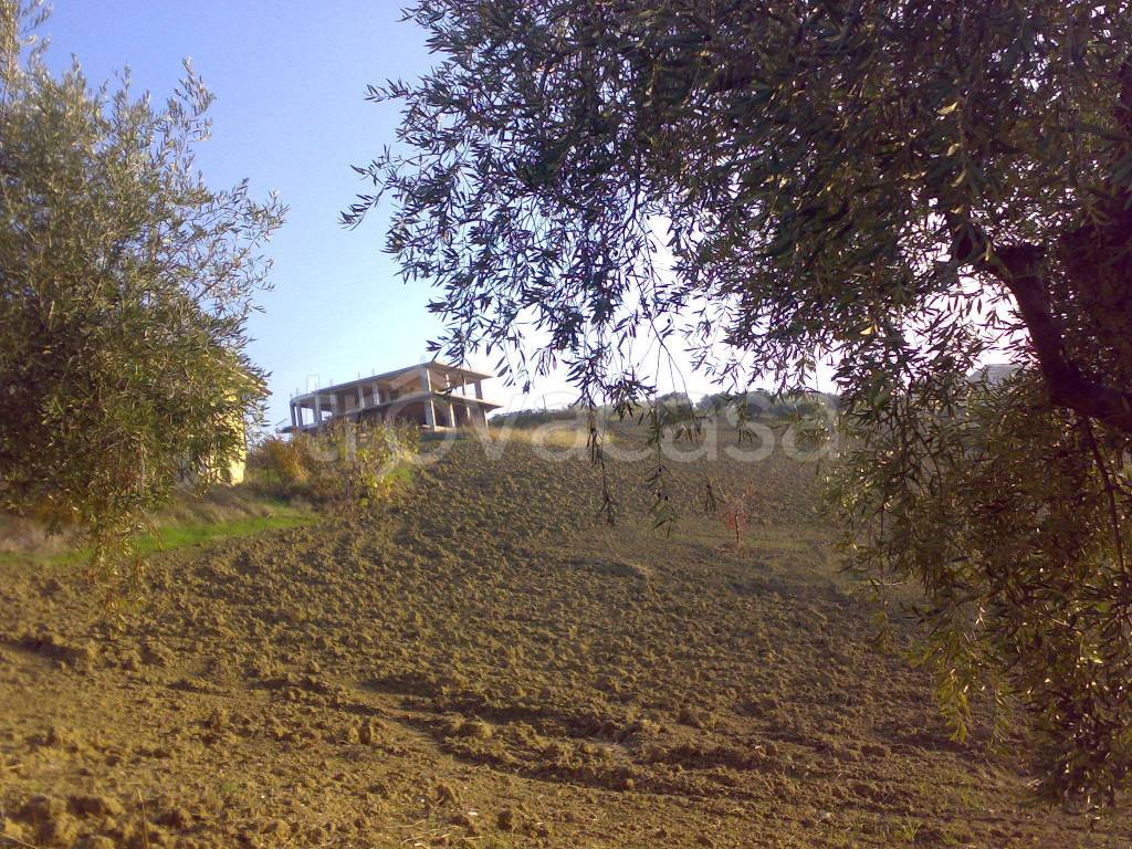 immagine annuncio 4 di 9
