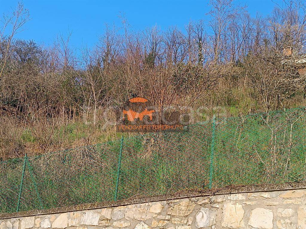 immagine annuncio 8 di 13