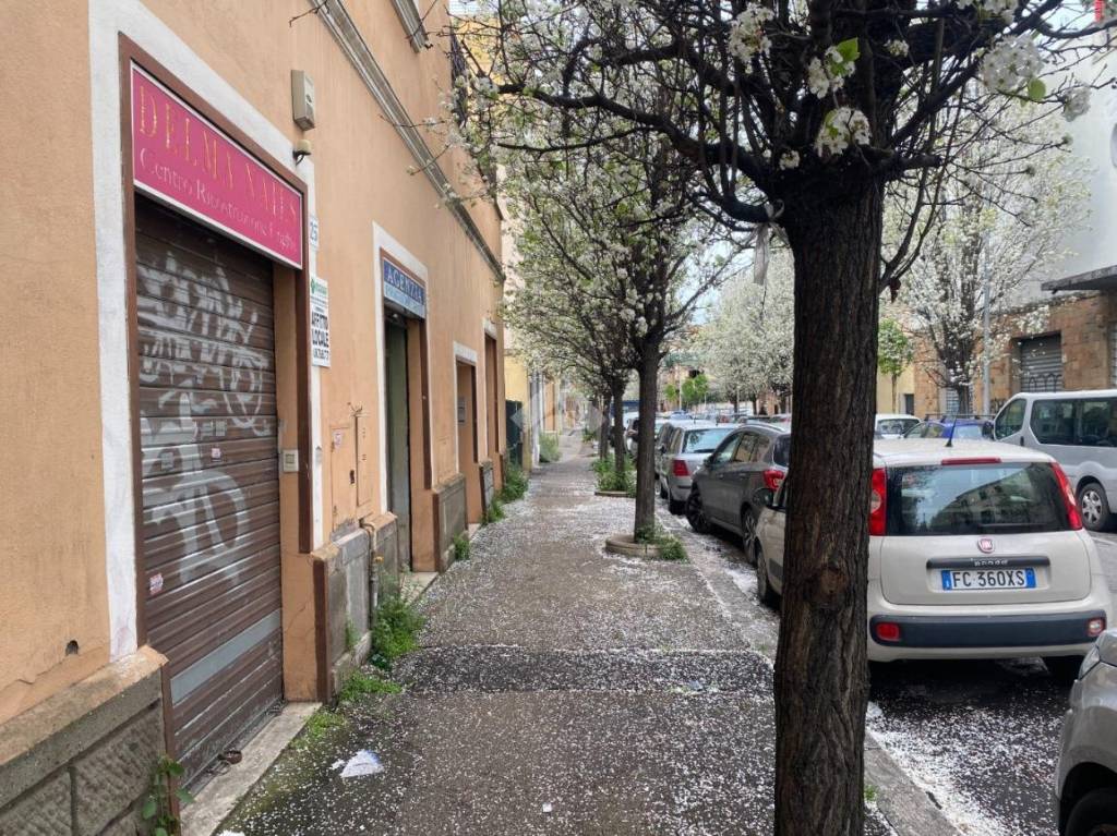 immagine annuncio 1 di 7