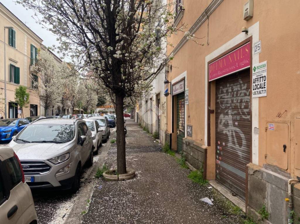 immagine annuncio 2 di 7