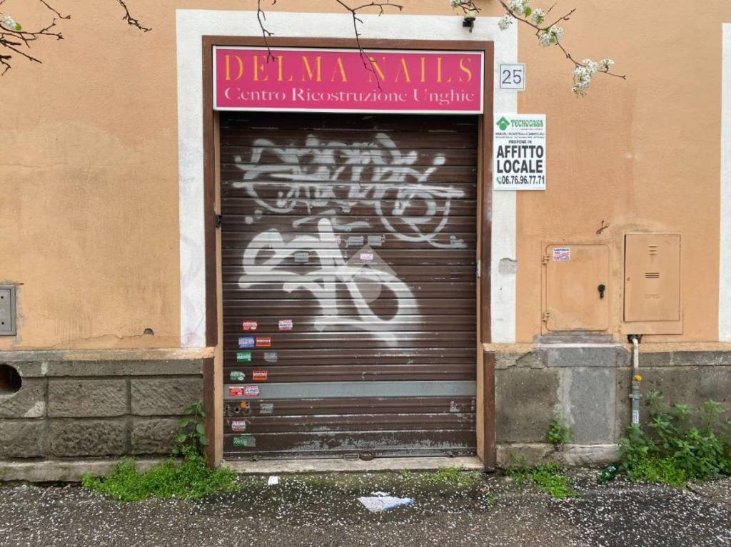 immagine annuncio 4 di 7