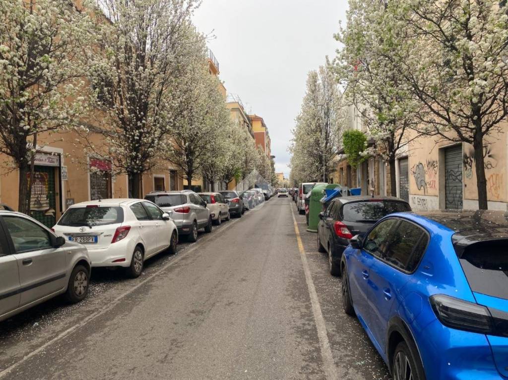 immagine annuncio 5 di 7