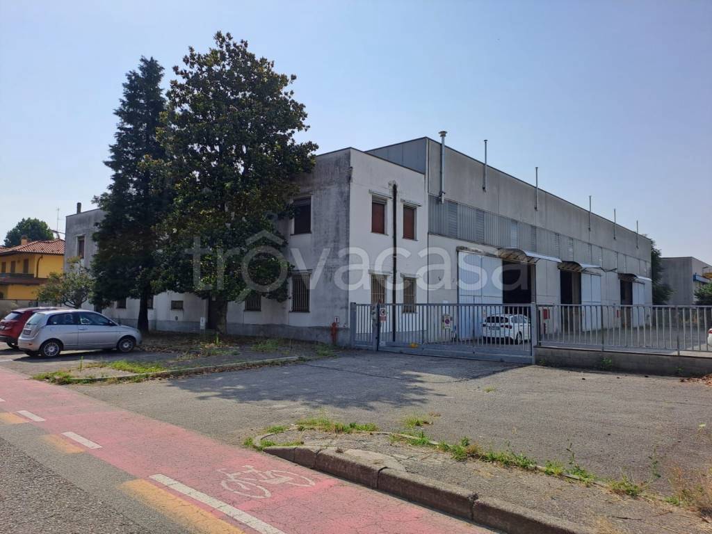 immagine annuncio 2 di 15