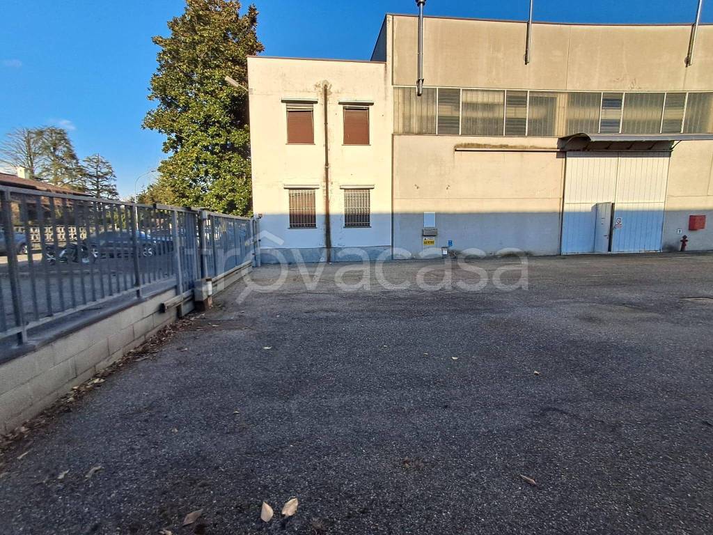 immagine annuncio 9 di 15