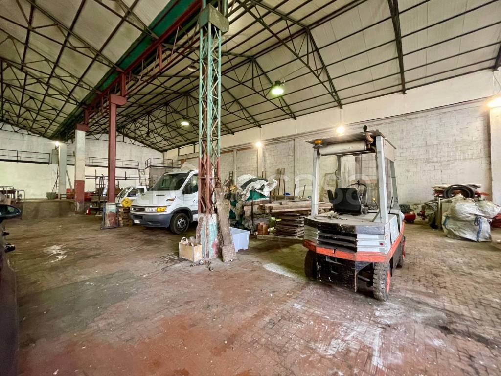 immagine annuncio 5 di 15