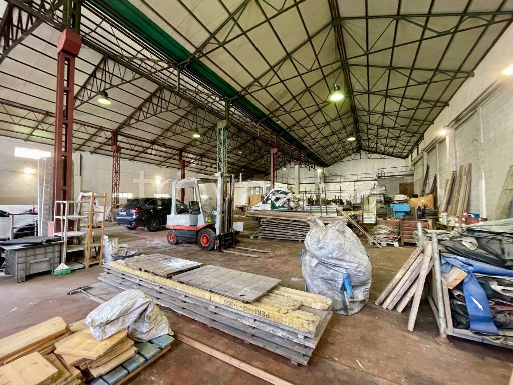 immagine annuncio 9 di 15