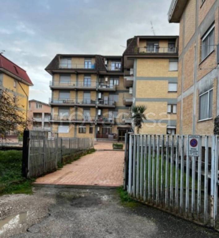 immagine annuncio 11 di 13