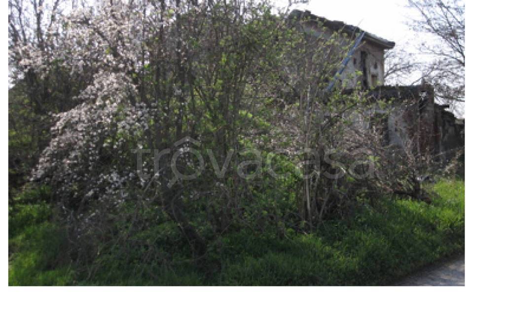 immagine annuncio 5 di 11