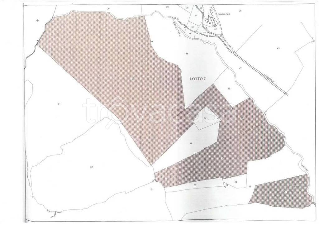 immagine annuncio 3 di 7