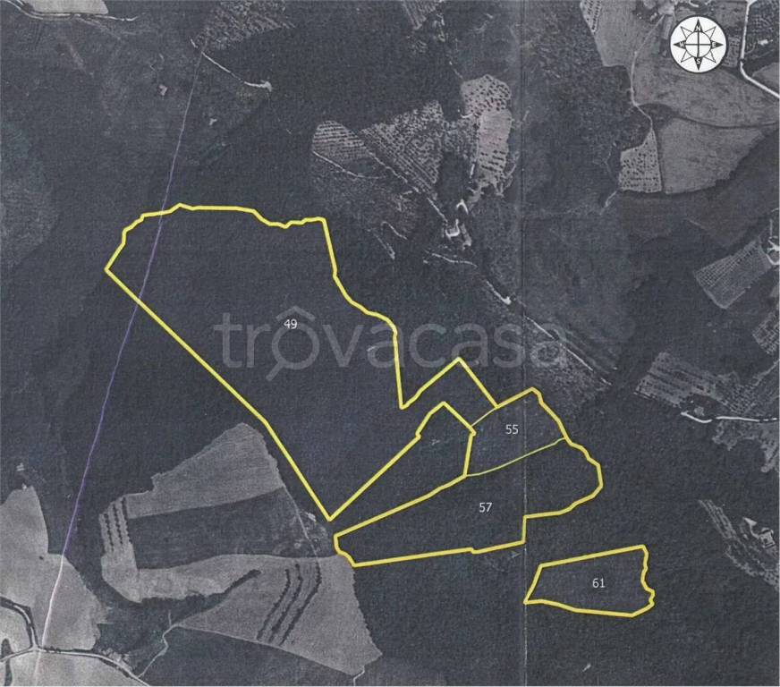 immagine annuncio 6 di 7