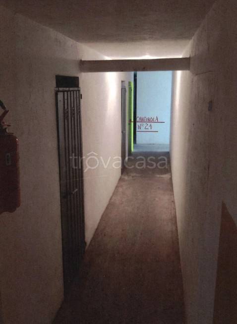 immagine annuncio 11 di 14
