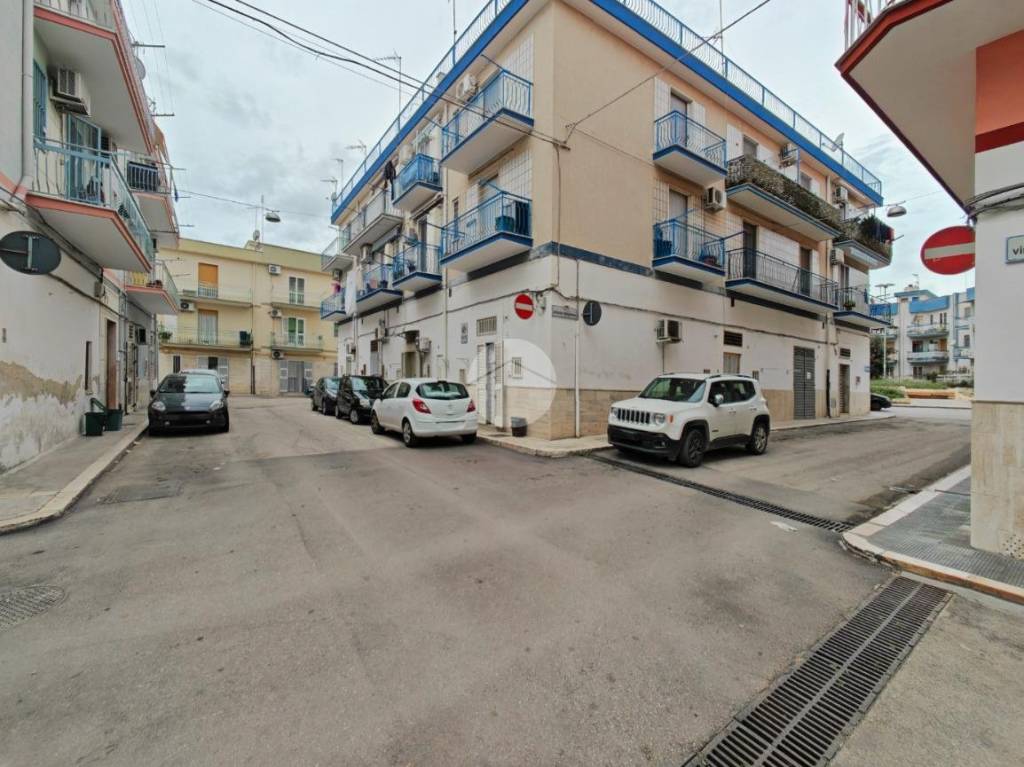 immagine annuncio 11 di 14